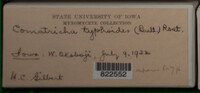Image Associated With the Occurence